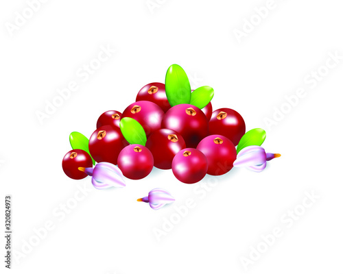 Berries realistic 3d vector icon isolated on white background. For juice, pudding, smoothie, sauces ads.Vector  illustration.