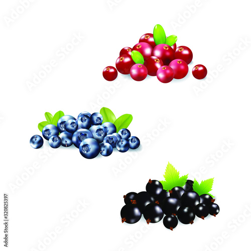 Berries realistic 3d vector icon isolated on white background. For juice, pudding, smoothie, sauces ads.Vector  illustration.