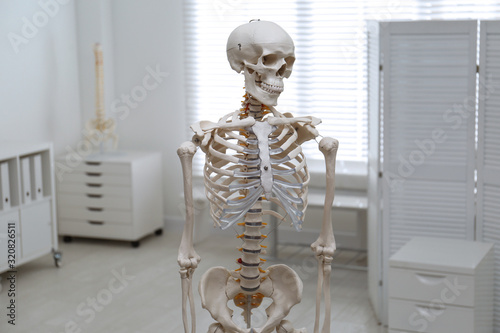 Human skeleton model in modern orthopedist's office © New Africa