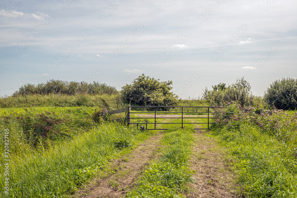 Iron gate at the end of a driveway with wheel tracks