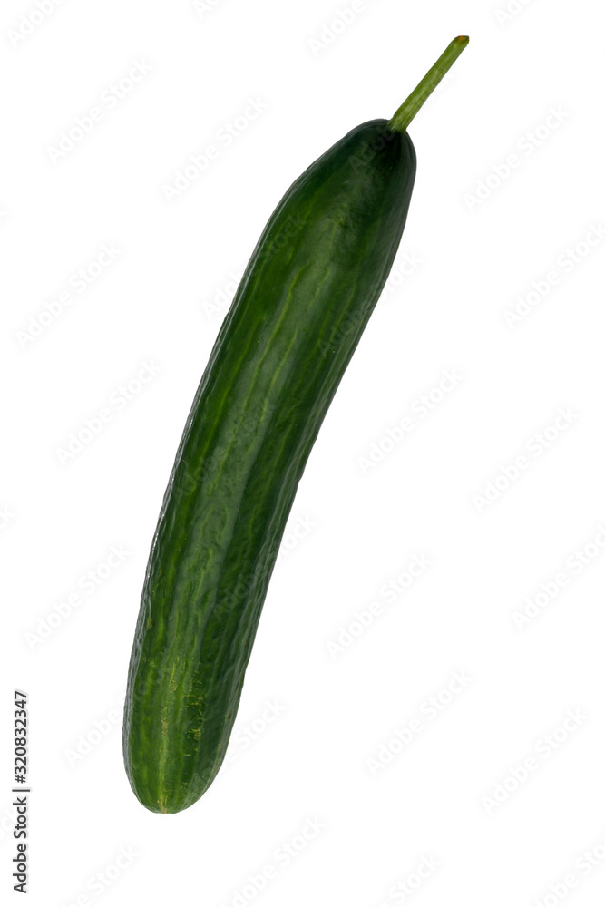 Smooth green cucumber isolated on white. Fresh vegetable grown in a greenhouse. Smooth green cucumber isolated on white. Fresh vegetable grown in a greenhouse.