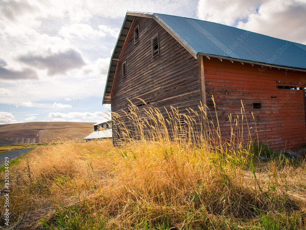 old abandon barn in Washington state old abandon barn in Washington state