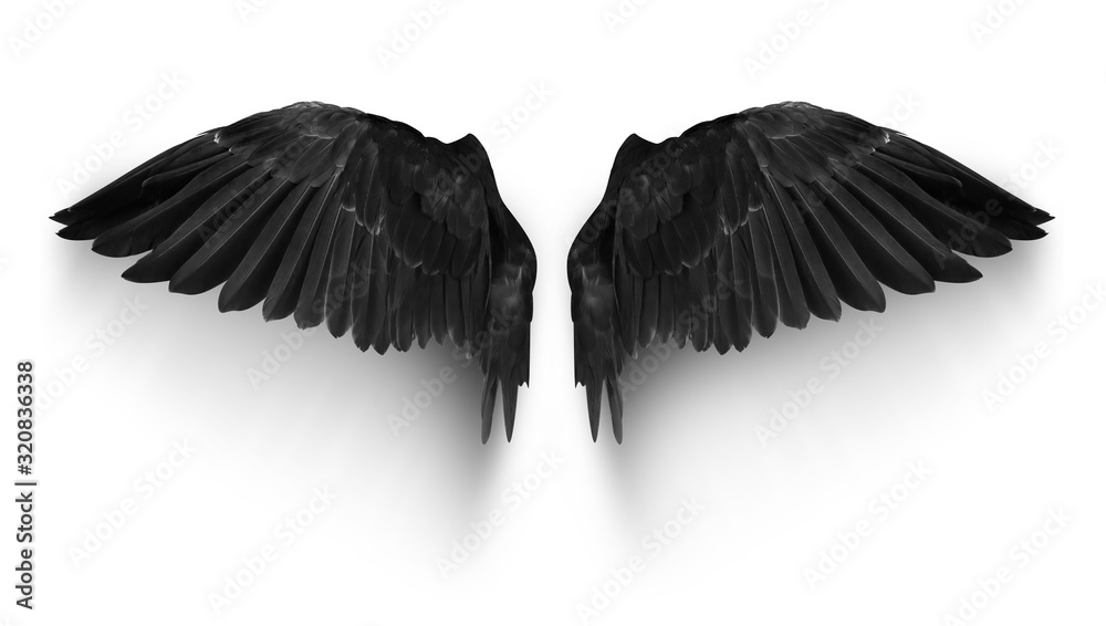 Obraz Black pairs of angle wings or parrot wings isolate with clipping path on white background