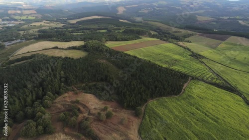 Aerial view of the greenery of the Castromaior fields near by the Pre Roman archaeological site at Santa Tecla hills, Castromaior, lugo, spain photo