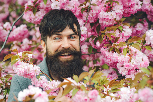 Bearded stylish man. Handsome smiling bearded man outdoors. Spring day. Spring pink sakura blossom. Men fashion