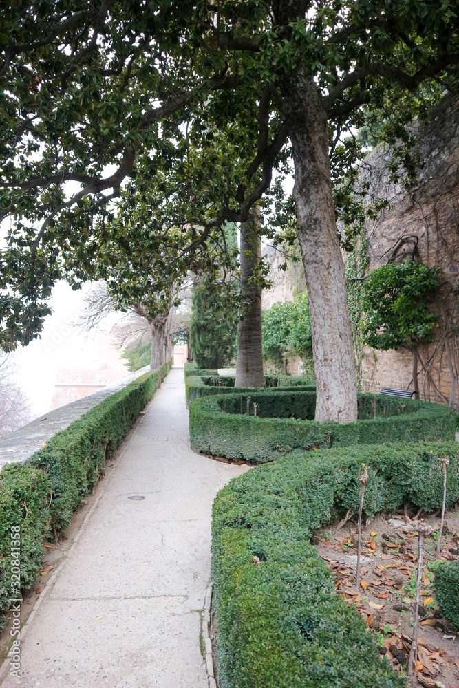 path in the garden of the ramparts in the winter morning fog, Alhambra, Granada, Spain