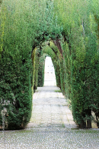 Green cypress corridor, garden design with pebbles walkway in Generalife gardens, Alhambra, Granada, Spain