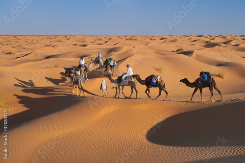 camel treck in sahara © mschauer