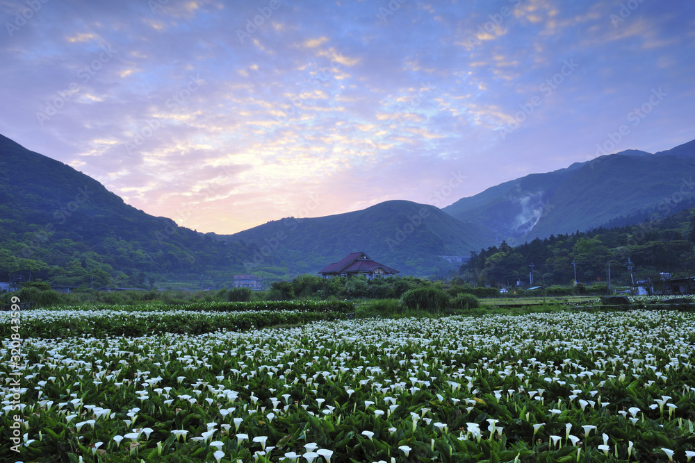 Fototapeta premium Yangmingshan National Park