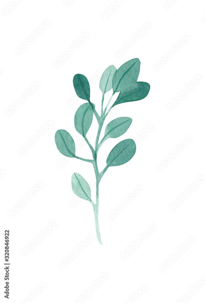 watercolor twig with foliage