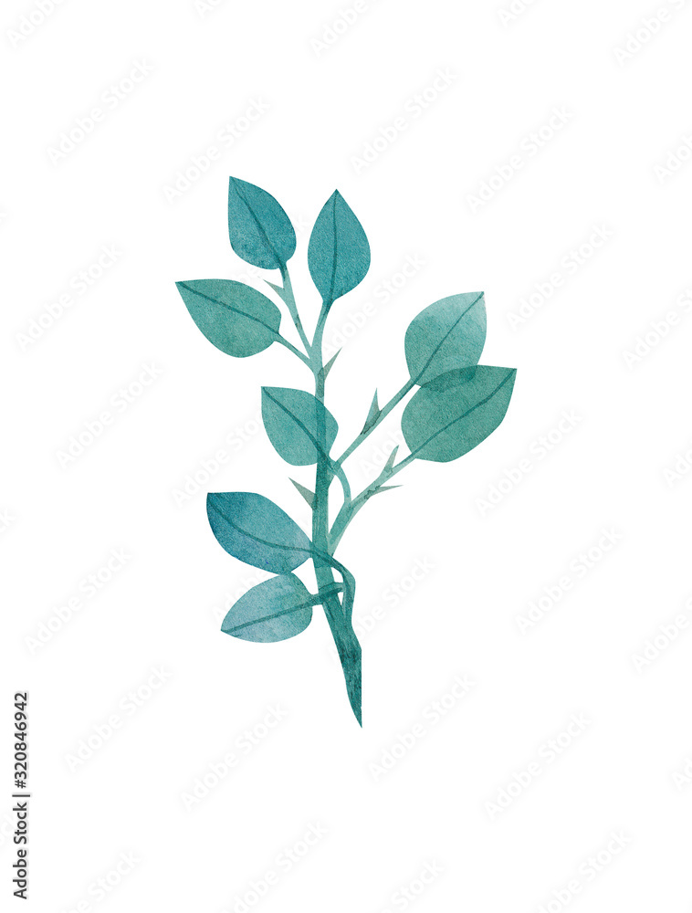 watercolor twig with foliage