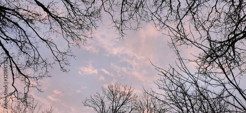 Ciel