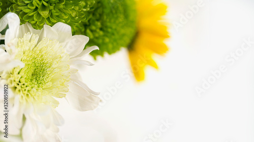 colorful bouquet of chrysanthemums on a light background green and yellow colors macro selective focus