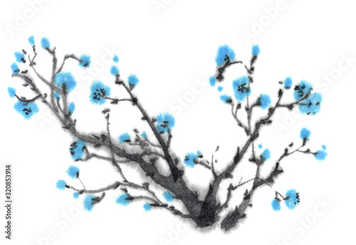 Blooming branch of may plum tree, sakura. Ink graphic image. Oriental, chinese, japanese, korean style. Set of flowers in ink.