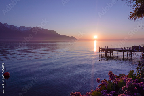 Tela Sunset flowers lake leman montreux