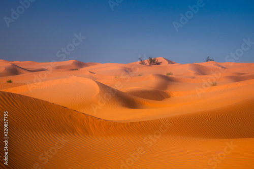 waves in the desert