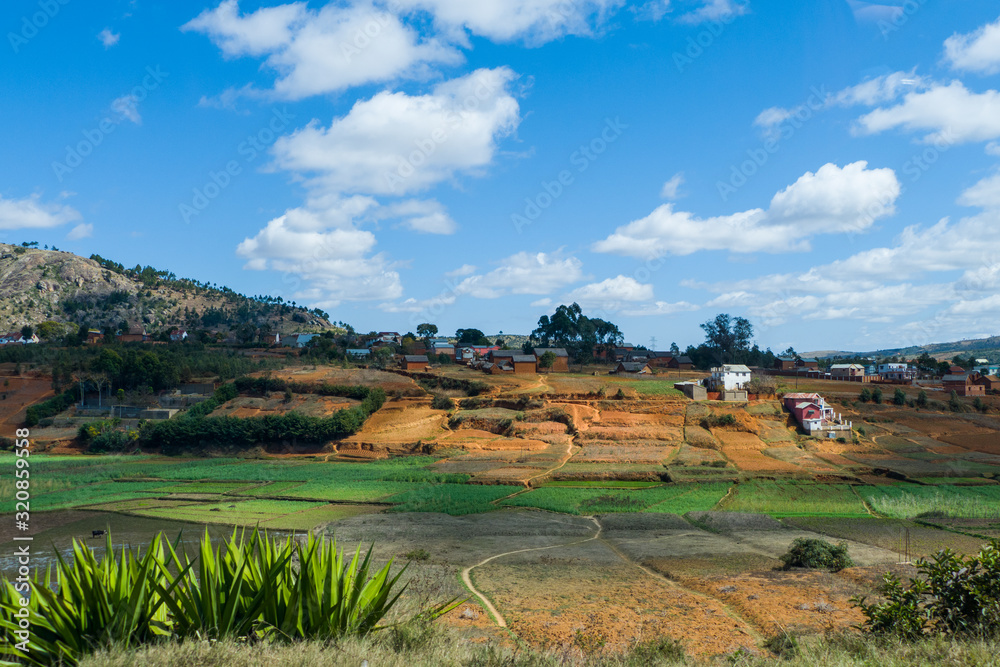 Rice paddies in the central highlands of Madagascar - Landscape of Madagascar