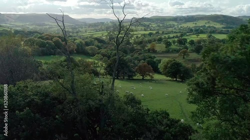 Aerial moving along a line of trees in foreground, looking across large open welsh valley countryside. Powys, Builth Wells photo