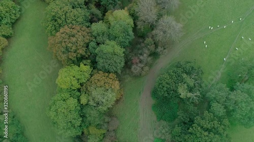 Fields and trees and sheep meet a substantial road in the welsh countryside. Aerial photo