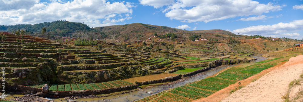 Φωτογραφία Rice paddies in the central highlands of Madagascar - Landscape of Madagascar