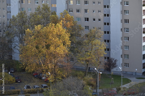 Herbst an der Adalbert Stifter Straße photo