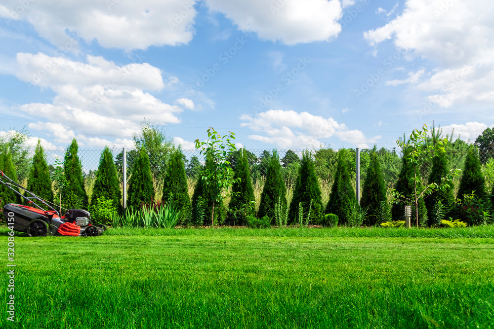 Lawn mower cutting green grass in backyard, mowing lawn - obrazy, fototapety, plakaty 