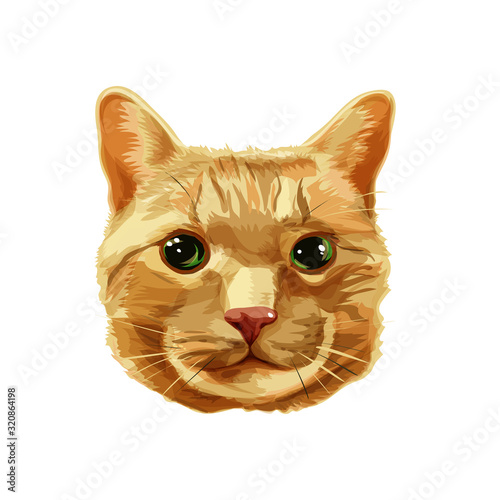 Red cat head vector