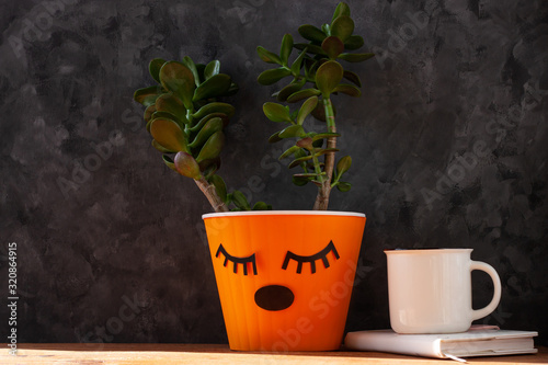 Succulent plant in orange pot. Creative reindeer with green horns minimal style. Minimalistic home interior decor,urban jungle. Earth day,animal rights protection,eco house concept.Coffee cup,notebook