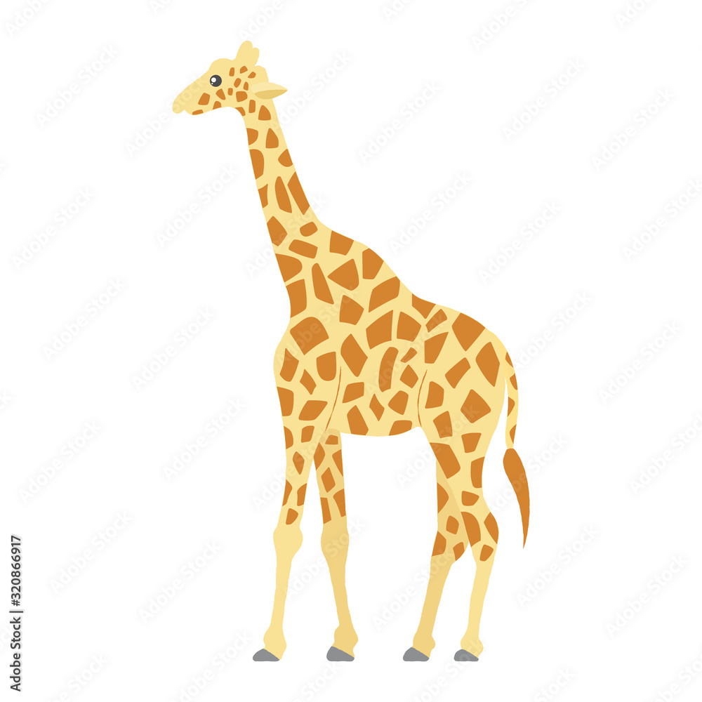 Vector illustration of a cute giraffe. Vector illustration of a cute giraffe.
