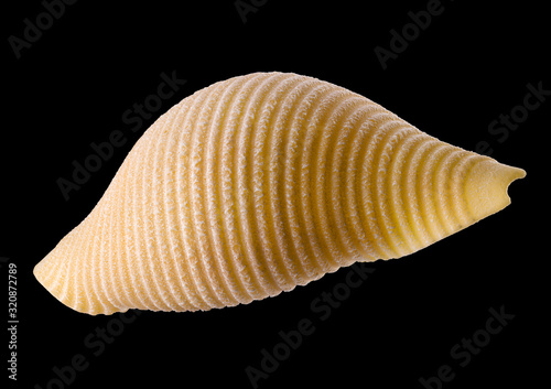 Macro photo of conchiglie pasta shell isolated on black background