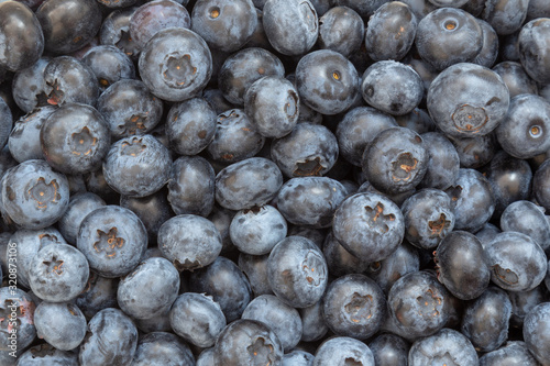 Fresh wet blueberries background with a moisture on a heap of berries. photo