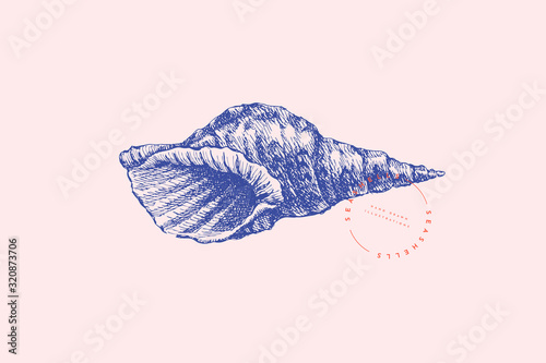 Hand-drawn spiral shell vector illustration on a pink background. Ancient molluscan engraved line. Fauna of the sea and ocean in retro style. Design element for invitation, poster, postcard.