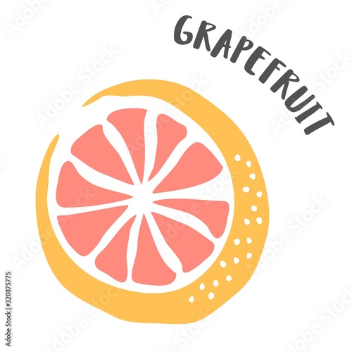 Grapefruit hand painted with ink brush