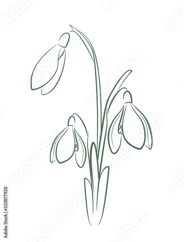  The logo of a snowdrop flower.