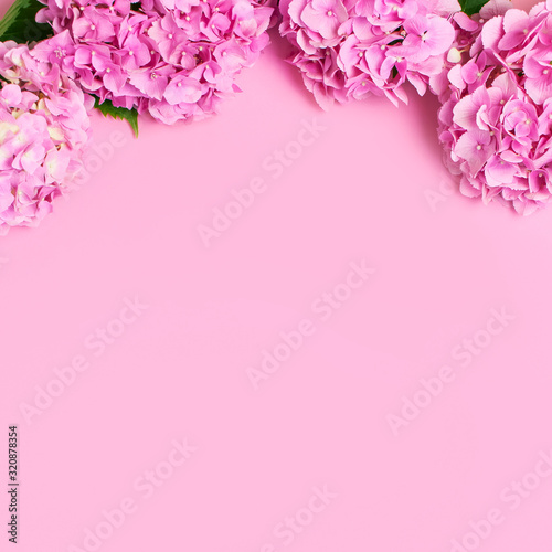 Beautiful flowers of pink hydrangea with green leaves on pink background top view flat lay copy space. Flower card. Holiday, congratulations, happy mothers day. International Women's day, March 8
