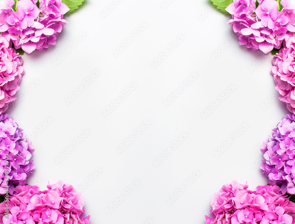 Frame from Beautiful pink hydrangea flowers on white background top view flat lay copy space. Flower card. Holiday, congratulations, happy mothers day. International Women's day, March 8. Spring