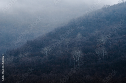 Mountain in winter in fog