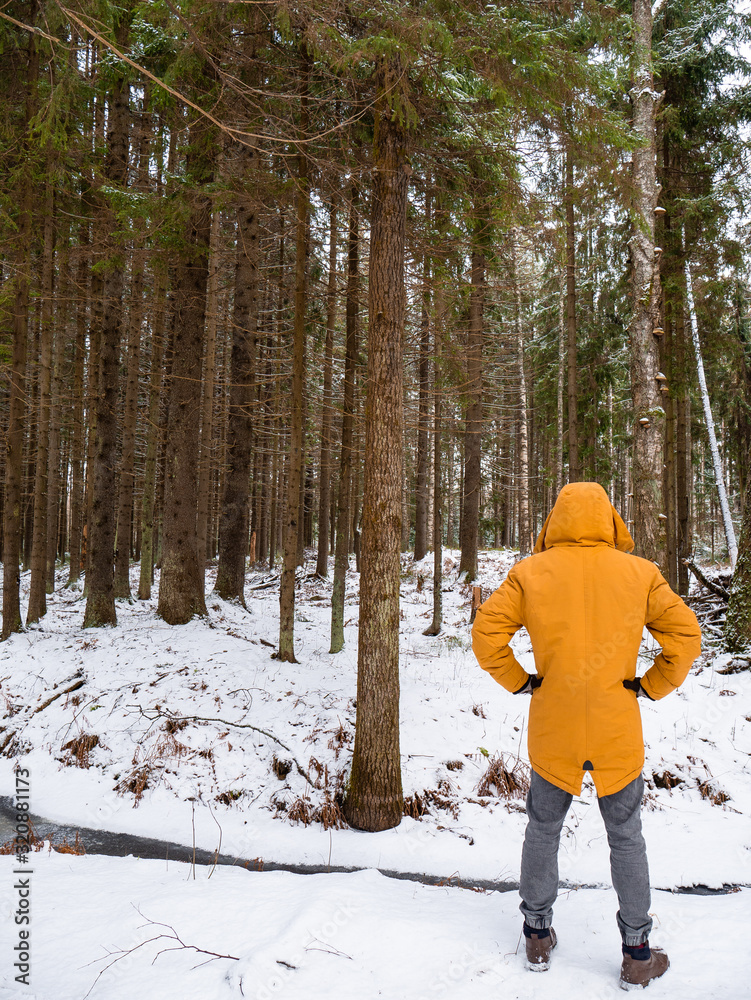 Man in a bright yellow jacket. Nature forest.
