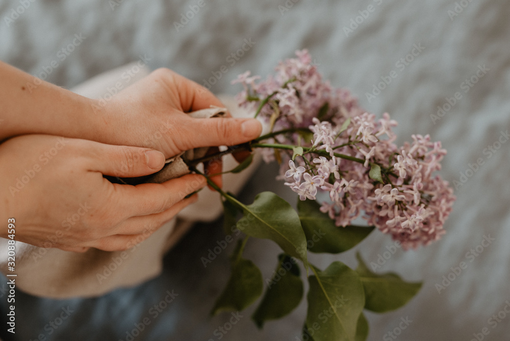 Close-up of hands holding purple lilac flowers branch in bloom on blue linen sheet with neutral linen towel, eco lifestyle concept, still life, vintage effect with grain