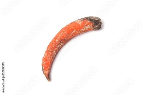 rotten carrots on a white background
