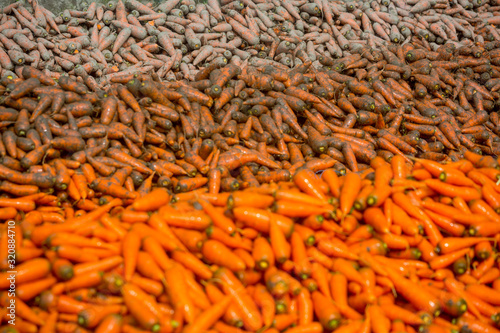 Washed, Un-washed and dirty carrot background. Food background. Close-up, and washed carrots. Near Savar District at Dhaka, Bangladesh. photo