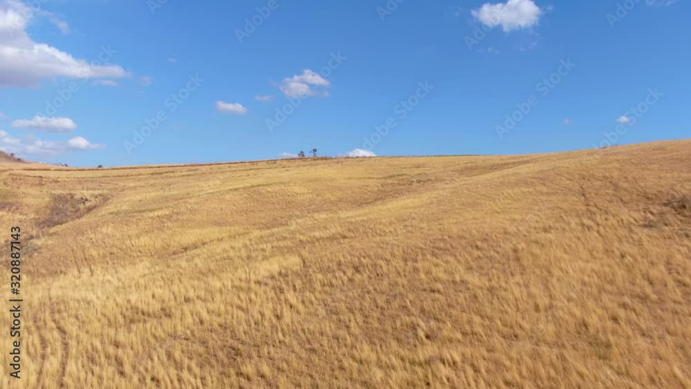 Fields of Monreale in summer. Drone flyover view of La Conca D'oro. Fields of Monreale in summer. Drone flyover view of La Conca D'oro.