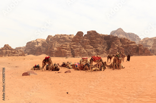 Wadi Rum desert panorama with camels, Jordan © johannes86