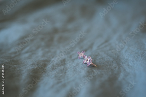 Close-up of purple lilac flowers in bloom on blue linen sheet, eco lifestyle concept, still life, space for text, shallow depth of field