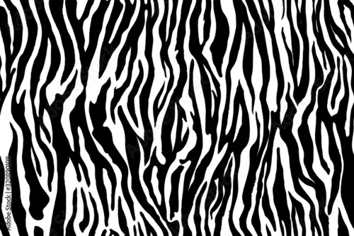 Zebra seamless pattern