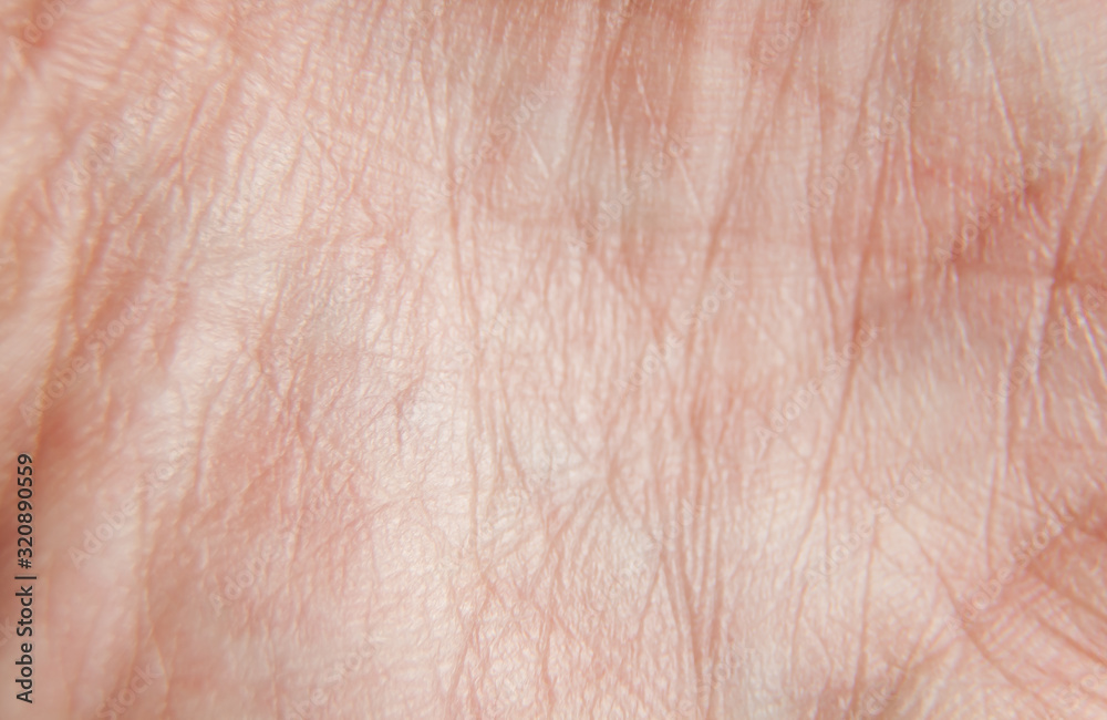 fragment of the skin of a human palm. Macro shot of palm lines. fragment of the skin of a human palm. Macro shot of palm lines.