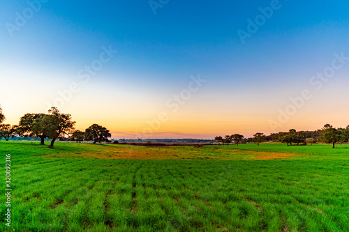 landscape with field and blue sky