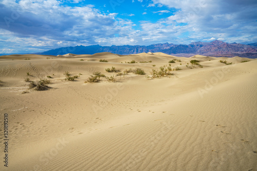 mesquite flat sand dunes in death valley, california, usa