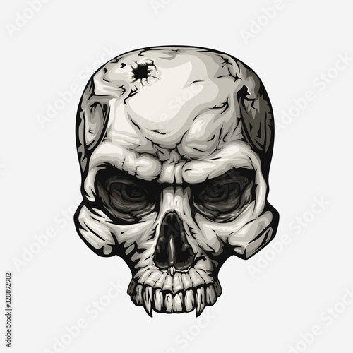 human skull front on white