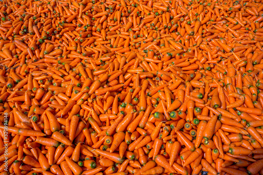 Colorful Organic carrots. Food background. Close-up, and washed carrots. Near Savar District at Dhaka, Bangladesh.